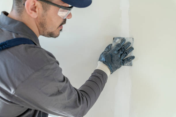 Best Fire-Damaged Drywall Repair  in Newark, CA